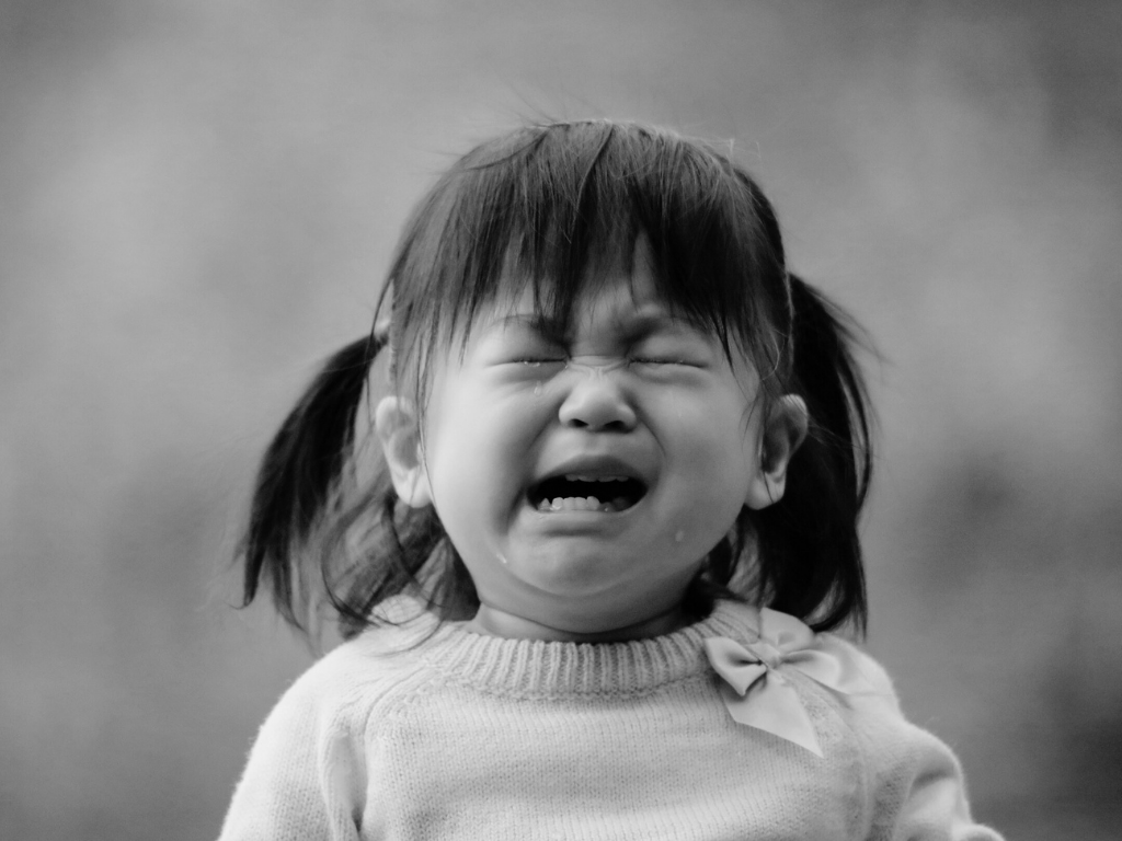 Things My Toddlers Have Cried About This Week (The Reality of Toddler&nbsp;Tantrums)